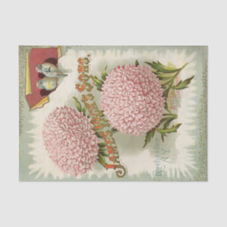Vintage-Samenkatalog James Vick's und Söhne Seidenpapier