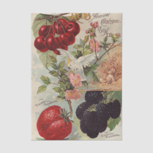 Vintage-Samenkatalog Reid's Annual Catalogue, 1896 Seidenpapier