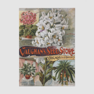 Vintage-Samenkatalog, Vaughan's Seeds 1899 Blumen Seidenpapier