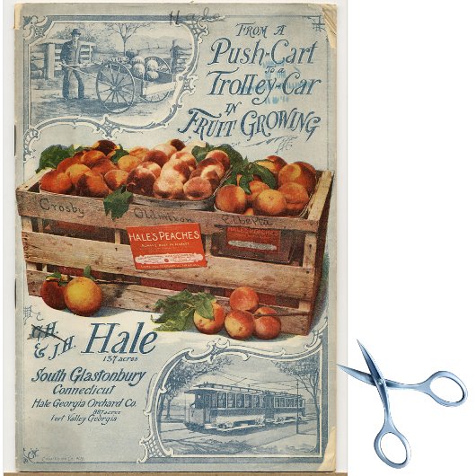 Vintage Samenkataloge Seidenpapier