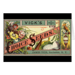 Vintage-Samenpaket-Etikettenkunst, Vick's Choice S