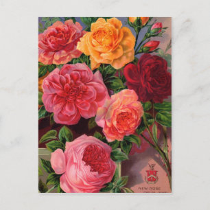 Vintage-Samenpaket-Karten, Porto und Geschenke Postkarte
