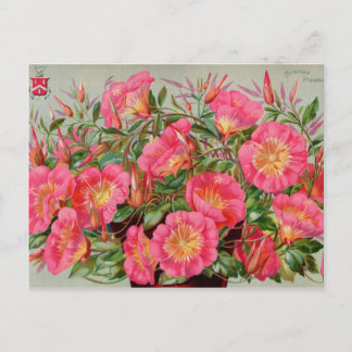 Vintage-Samenpaket-Karten, Porto und Geschenke Postkarte