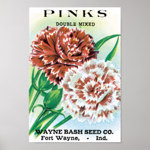 Vintage-Samenpaket-Kunst, Nelkenblumen Poster