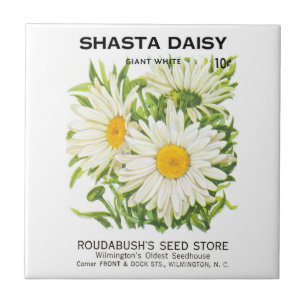 Vintage-Samenpaket-Kunst, Shasta-Marguerite-Blumen Fliese