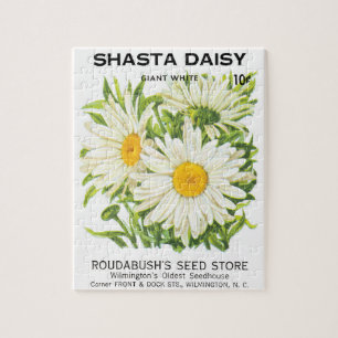 Vintage-Samenpaket-Kunst, Shasta-Marguerite-Blumen Puzzle
