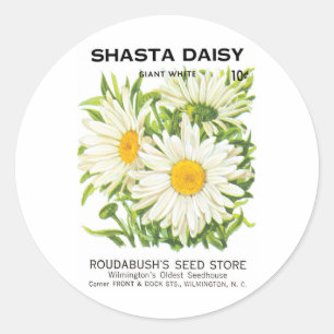 Vintage-Samenpaket-Kunst, Shasta-Marguerite-Blumen Runder Aufkleber