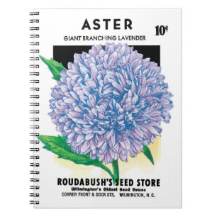 Vintage-Samenpaket-Kunst, violette Aster-Blumen Notizblock