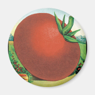 Vintage-Samenpaket-Label-Kunst, Burts Seed Tomato Magnet