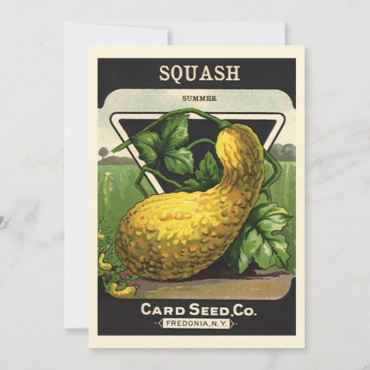 Vintage-Samenpaket-Label-Kunst Gelber Sommersquash (Vorderseite)