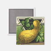 Vintage-Samenpaket-Label-Kunst Gelber Sommersquash Magnet (Vorderseite/Rückseite)