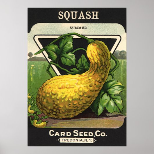 Vintage-Samenpaket-Label-Kunst Gelber Sommersquash Poster (Vorne)