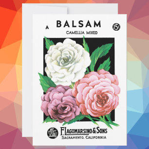Vintage-Samenpaket-Label-Kunst, Kamelienblüten