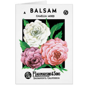 Vintage-Samenpaket-Label-Kunst, Kamelienblüten