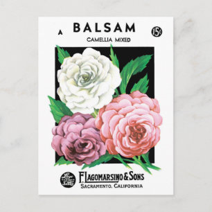 Vintage-Samenpaket-Label-Kunst, Kamelienblüten Postkarte
