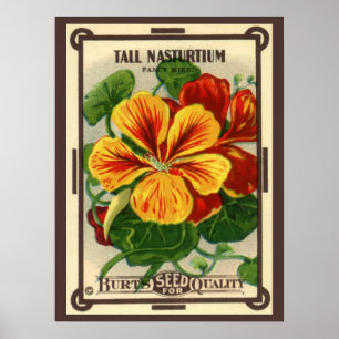 Vintage-Samenpaket-Label-Kunst, Kapuzinerkresse-Bl Poster