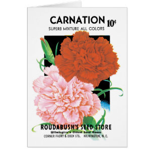 Vintage-Samenpaket-Label-Kunst, Nelkenblumen