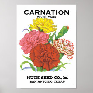 Vintage-Samenpaket-Label-Kunst, Nelkenblumen Poster