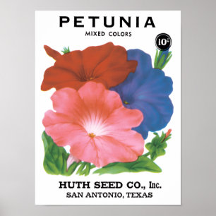 Vintage-Samenpaket-Label-Kunst, Petunienblumen Poster