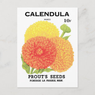 Vintage-Samenpaket-Label-Kunst, Ringelblumen Postkarte