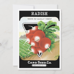 Vintage-Samenpaket-Label-Kunst, Scharlachrote Radi