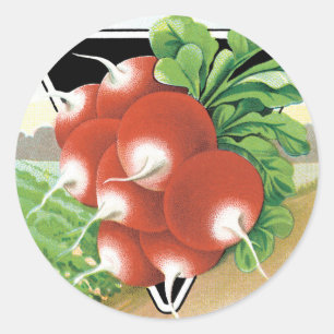 Vintage-Samenpaket-Label-Kunst, Scharlachrote Radi Runder Aufkleber