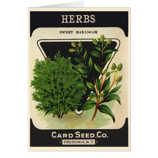 Vintage-Samenpaket-Label-Kunst Süßer Majoran Kräut (Vorne)
