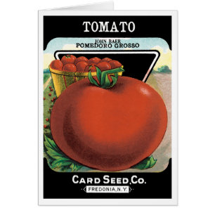 Vintage-Samenpaket-Label-Kunst, Tomate Pomodoro