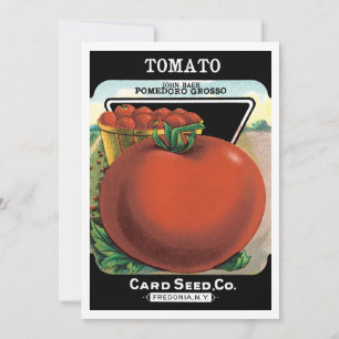 Vintage-Samenpaket-Label-Kunst, Tomate Pomodoro