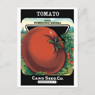 Vintage-Samenpaket-Label-Kunst, Tomate Pomodoro Postkarte