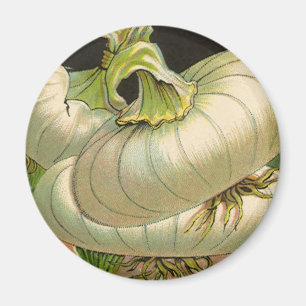 Vintage-Samenpaket-Label-Kunst Weiße Bermuda-Zwieb Magnet