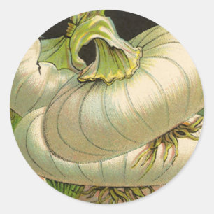 Vintage-Samenpaket-Label-Kunst Weiße Bermuda-Zwieb Runder Aufkleber