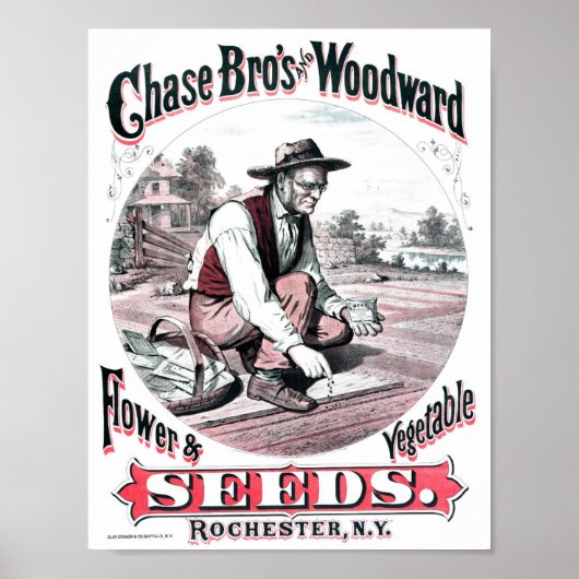 Vintage-Samenwerbeposter Poster (Vorne)