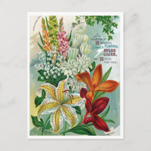 Vintage-Samenwerbepostkarte Postkarte