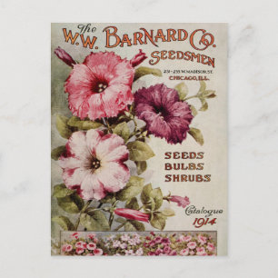 Vintage-Samenwerbepostkarte Postkarte