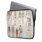 Vintage Sammlung anatomischer Biologie Laptopschutzhülle (Vorderseite Links)