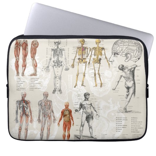 Vintage Sammlung anatomischer Biologie Laptopschutzhülle (Vorderseite)
