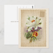 Vintage Sammlung Postkarte - Vol.6 - Postkarte (Vorne/Hinten)