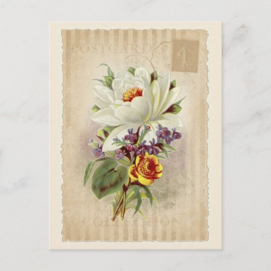 Vintage Sammlung Postkarte - Vol.6 - Postkarte (Vorderseite)