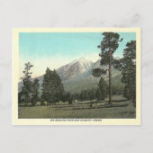 Vintage San Francisco Peaks Postkarte (Vorderseite)