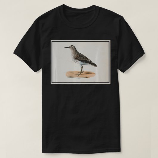 Vintage Sandpiper Bird Illustration (1842) queen T-Shirt (Design vorne)