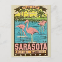 Vintage Sarasota Flamingo Card