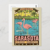 Vintage Sarasota Flamingo Card Postkarte (Vorne/Hinten)