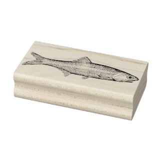 Vintage Sardellen-Fisch-Gummi-Kunststempel Gummistempel