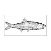 Vintage Sardellenfischerei Gummi Briefmarke Gummistempel (Prägung)