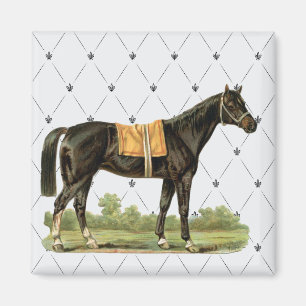Vintage Sattelpferd-Magnet Magnet