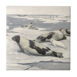Vintage Sattelrobben in arktischem Schnee von Loui Fliese