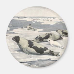 Vintage Sattelrobben in arktischem Schnee von Loui Magnet