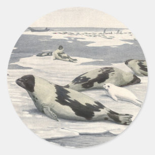 Vintage Sattelrobben in arktischem Schnee von Loui Runder Aufkleber