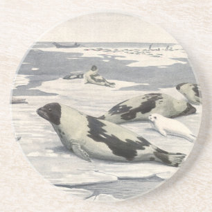 Vintage Sattelrobben in arktischem Schnee von Loui Sandstein Untersetzer